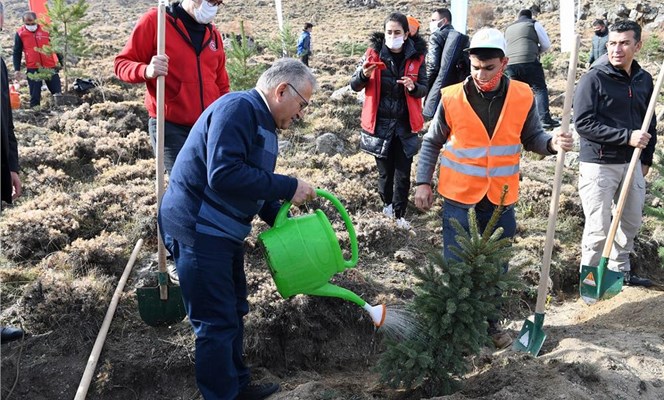 Üç Yılda 300 Bin Fidan Diktik