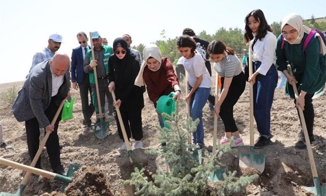DAHA YEŞİL BİR KOCASİNAN İÇİN